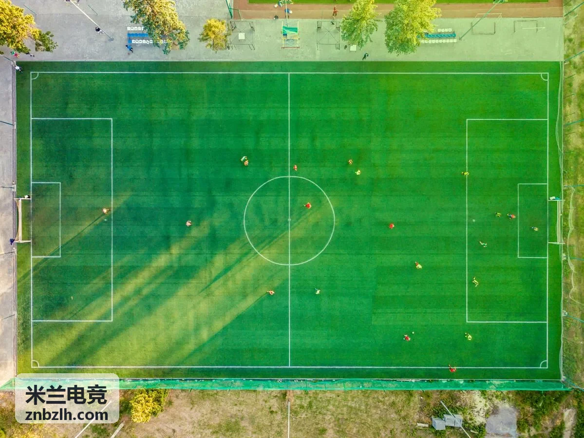 米兰电竞案例